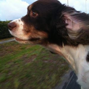 Meet your Posher, Melody